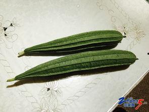 梦见邻居给瓜吃,瓜果共享的温馨瞬间