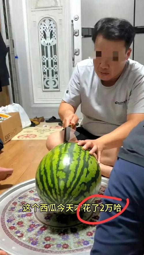 求婚韩国吃瓜,一场别开生面的“吃瓜”求婚记