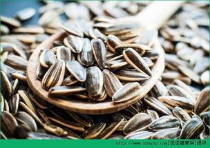 吃瓜拉瓜子,拉瓜子，品生活百态