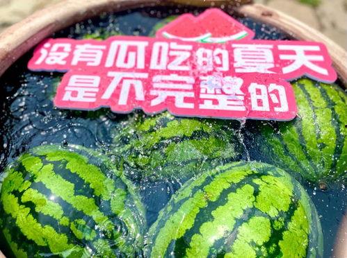 看吃瓜之旅,揭秘娱乐圈幕后故事