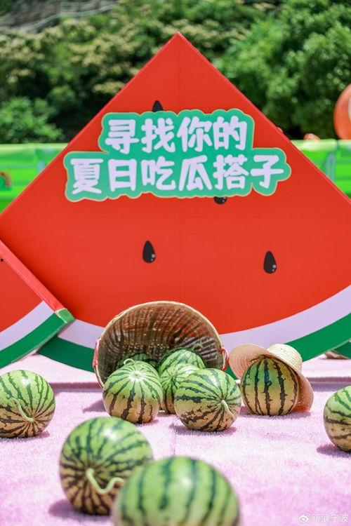 看吃瓜之旅,揭秘娱乐圈幕后故事