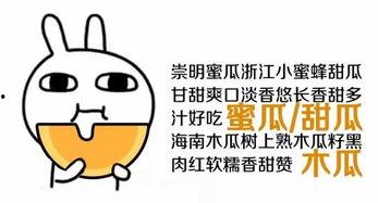吃瓜你就来图片,网络热图背后的故事与启示