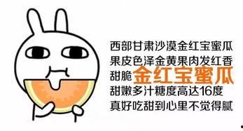 吃瓜你就来图片,网络热图背后的故事与启示