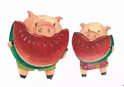 吃瓜娱乐猪,揭秘娱乐圈背后的趣味故事