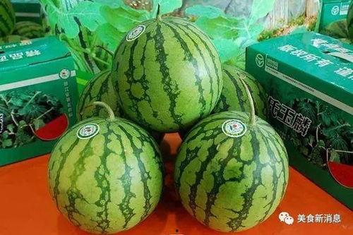 哪里吃瓜最好,揭秘哪里吃瓜最好