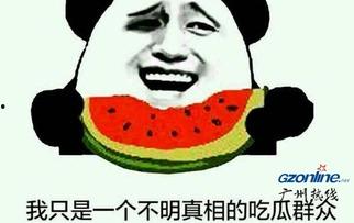 酒店吃瓜群众来了,吃瓜群众齐聚，揭秘幕后故事