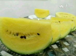 酒店吃瓜群众来了,吃瓜群众齐聚，揭秘幕后故事