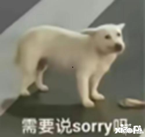 璐璐睡不着吃瓜