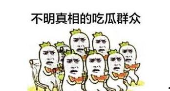 惊喜吃瓜群众,吃瓜群众眼中的娱乐圈风云