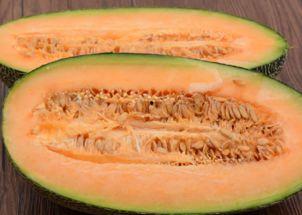 能否吃哈密瓜,哈密瓜爱好者与禁忌者之分