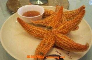 吃瓜海星的图片,海洋生物的另类美食时光