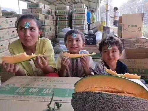 广西柳州吃瓜事件