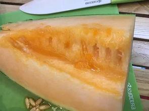 广西柳州吃瓜事件