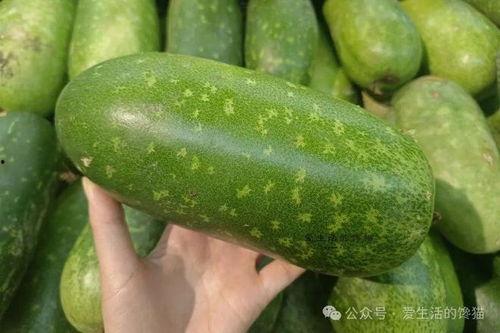 春季有哪些瓜可以吃,盘点春季必尝的时令瓜类