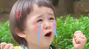 讲话吃瓜,洞察政策风向标