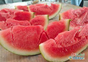 巴陵县吃瓜,探寻地方特色美食之旅