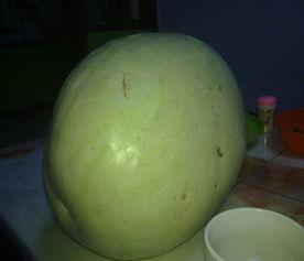 吃三白瓜拉稀,探究饮食与健康的关系