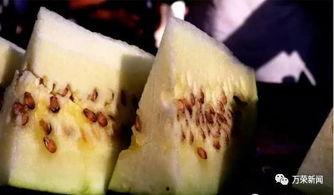 吃三白瓜拉稀,探究饮食与健康的关系