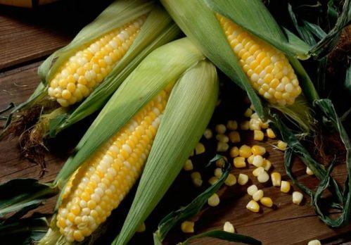 江苞米吃瓜,揭秘娱乐圈幕后故事