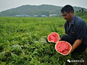 舒城最新吃瓜事件,真相竟如此反转！