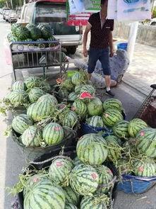 舒城最新吃瓜事件,真相竟如此反转！