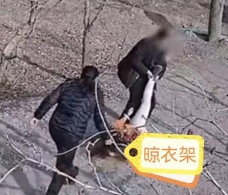 劳埃德吃瓜被拖走,一场意外引发的舆论风暴