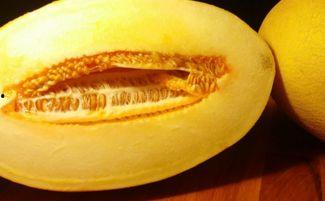 吃哈密瓜清脆,尽享夏日清凉美味