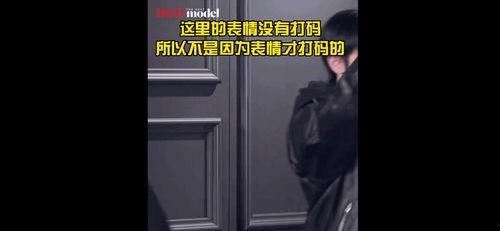 李马克吃瓜,揭秘娱乐圈幕后故事