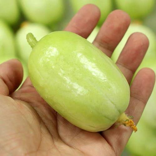 玉女拇指水果瓜咋吃,轻松解锁美味新吃法