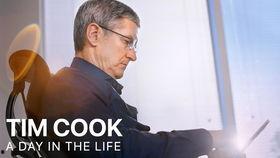 为啥昨天新闻吃瓜,吃瓜群众背后的真相