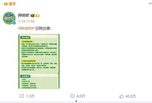 种地吧小摊吃瓜,瓜田里的欢乐时光
