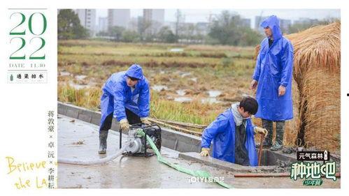 种地吧小摊吃瓜,瓜田里的欢乐时光
